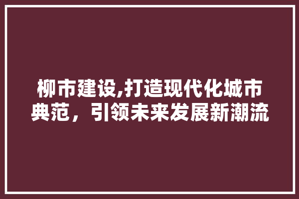 柳市建设,打造现代化城市典范，引领未来发展新潮流