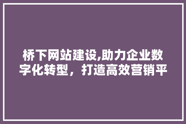 桥下网站建设,助力企业数字化转型，打造高效营销平台