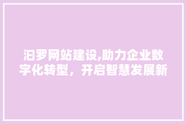 汩罗网站建设,助力企业数字化转型，开启智慧发展新篇章