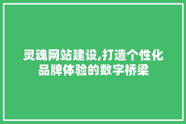灵魂网站建设,打造个性化品牌体验的数字桥梁