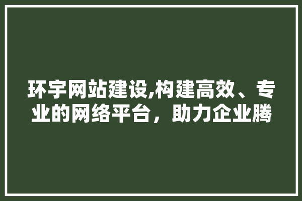 环宇网站建设,构建高效、专业的网络平台，助力企业腾飞 绘影字幕