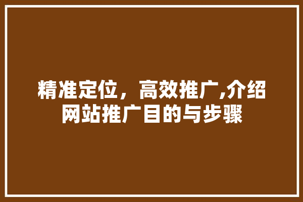精准定位，高效推广,介绍网站推广目的与步骤