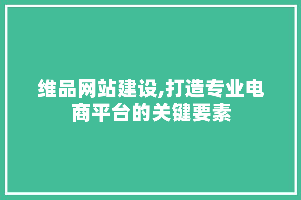 维品网站建设,打造专业电商平台的关键要素