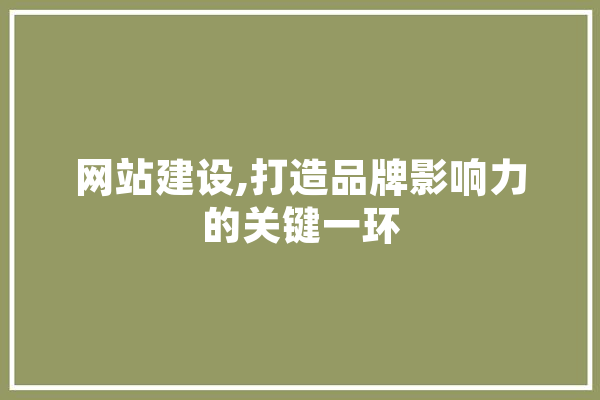 网站建设,打造品牌影响力的关键一环
