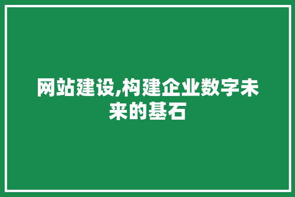 网站建设,构建企业数字未来的基石