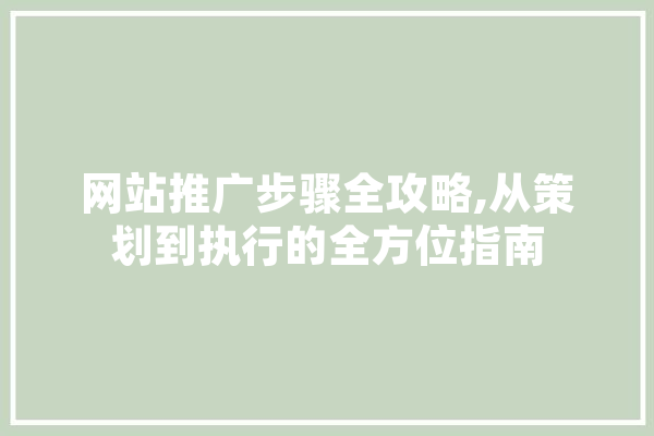 网站推广步骤全攻略,从策划到执行的全方位指南