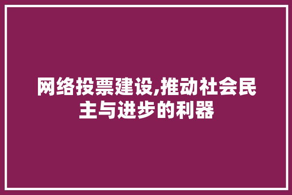 网络投票建设,推动社会民主与进步的利器