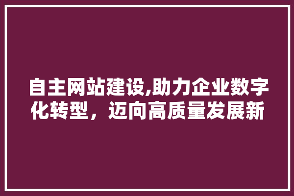 自主网站建设,助力企业数字化转型，迈向高质量发展新篇章