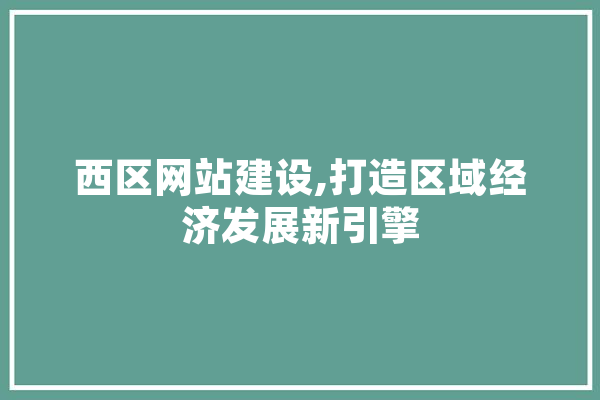 西区网站建设,打造区域经济发展新引擎