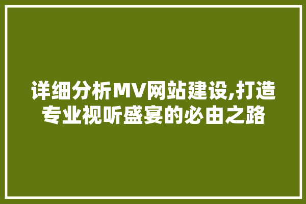 详细分析MV网站建设,打造专业视听盛宴的必由之路