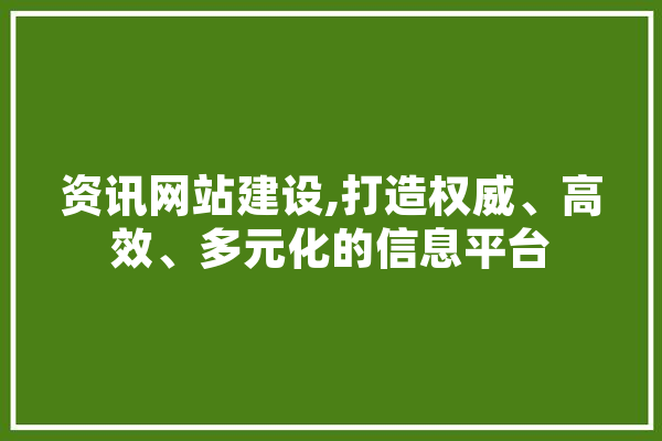 资讯网站建设,打造权威、高效、多元化的信息平台