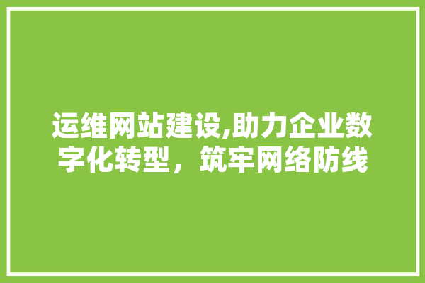 运维网站建设,助力企业数字化转型，筑牢网络防线