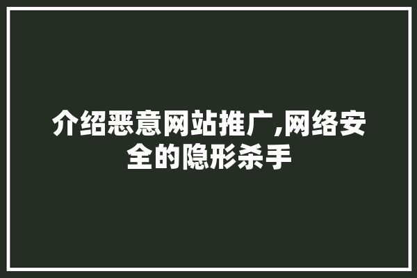 介绍恶意网站推广,网络安全的隐形杀手
