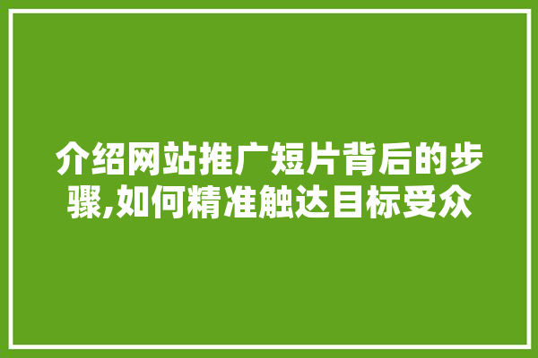 介绍网站推广短片背后的步骤,如何精准触达目标受众