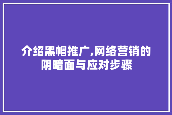 介绍黑帽推广,网络营销的阴暗面与应对步骤