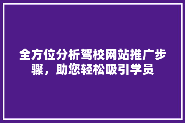 全方位分析驾校网站推广步骤，助您轻松吸引学员