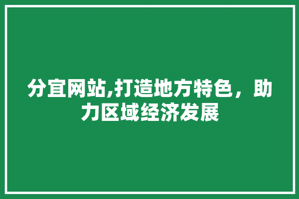 分宜网站,打造地方特色，助力区域经济发展