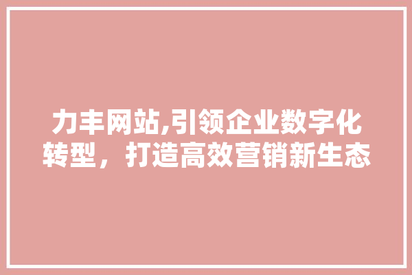 力丰网站,引领企业数字化转型，打造高效营销新生态