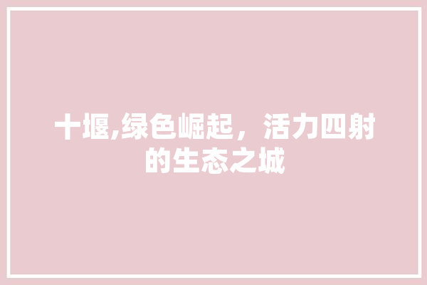 十堰,绿色崛起，活力四射的生态之城
