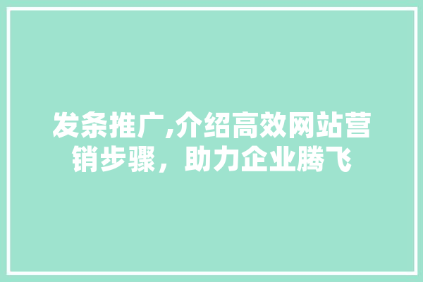发条推广,介绍高效网站营销步骤，助力企业腾飞