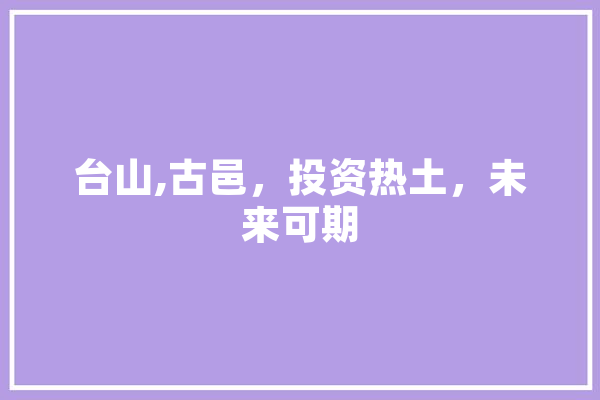 台山,古邑，投资热土，未来可期