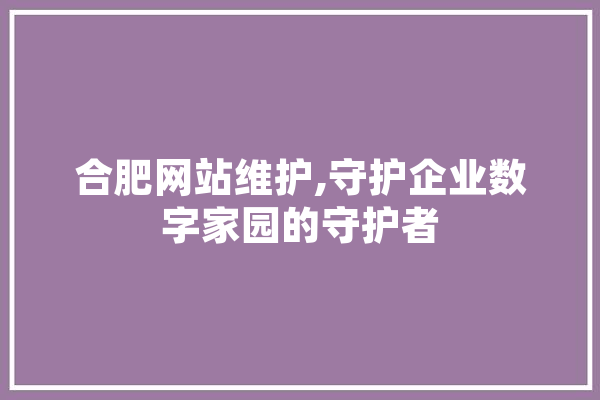 合肥网站维护,守护企业数字家园的守护者