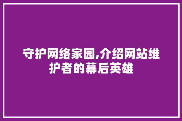 守护网络家园,介绍网站维护者的幕后英雄