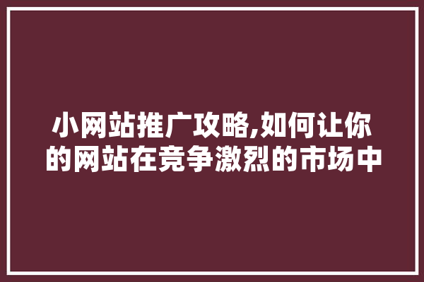 小网站推广攻略,如何让你的网站在竞争激烈的市场中脱颖而出