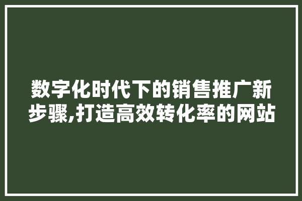 数字化时代下的销售推广新步骤,打造高效转化率的网站