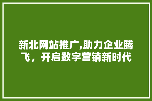 新北网站推广,助力企业腾飞，开启数字营销新时代