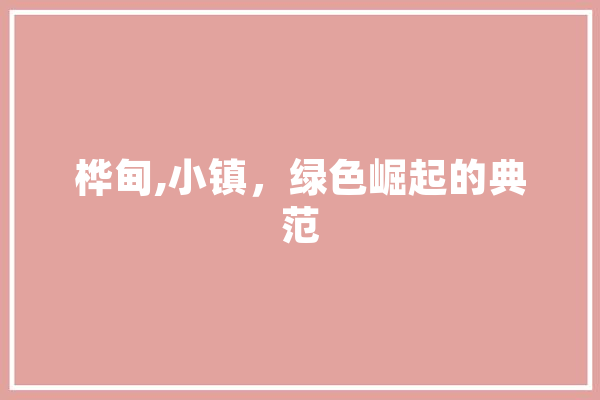 桦甸,小镇，绿色崛起的典范