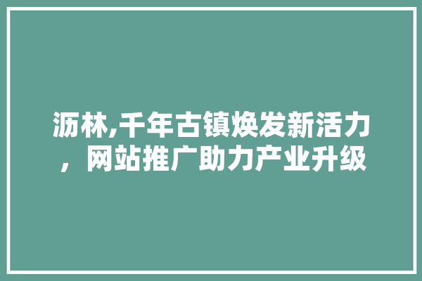 沥林,千年古镇焕发新活力，网站推广助力产业升级