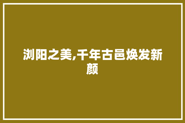 浏阳之美,千年古邑焕发新颜