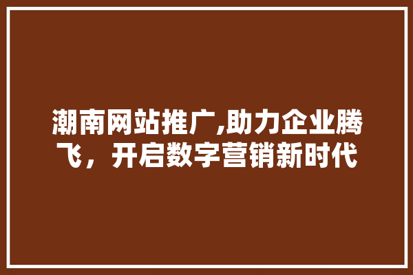 潮南网站推广,助力企业腾飞，开启数字营销新时代 绘影字幕