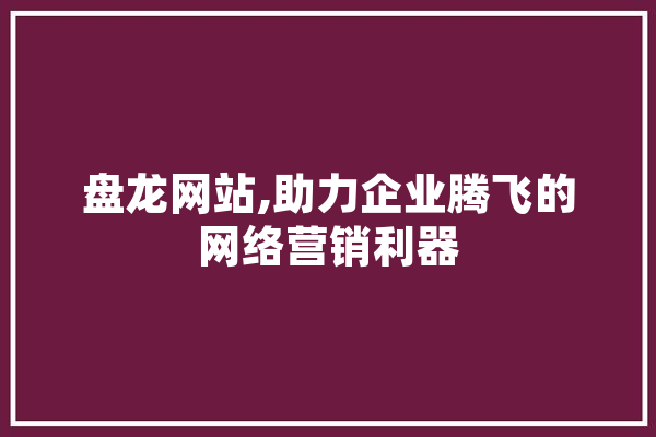 盘龙网站,助力企业腾飞的网络营销利器