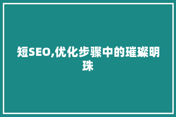 短SEO,优化步骤中的璀璨明珠