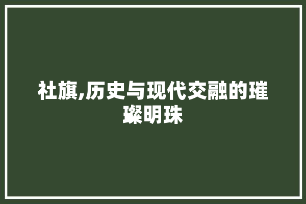 社旗,历史与现代交融的璀璨明珠