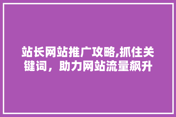 站长网站推广攻略,抓住关键词，助力网站流量飙升