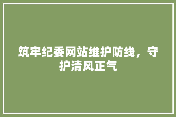 筑牢纪委网站维护防线，守护清风正气