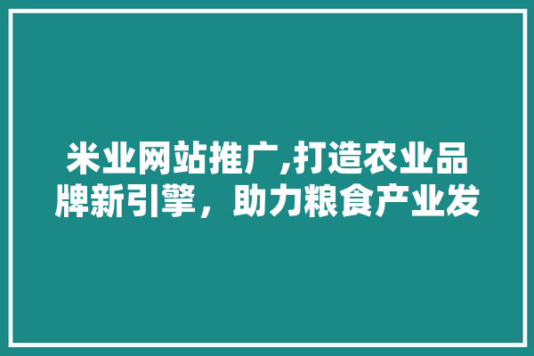 米业网站推广,打造农业品牌新引擎，助力粮食产业发展