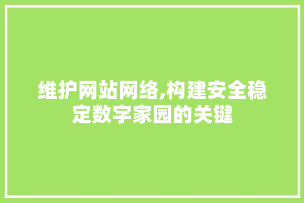 维护网站网络,构建安全稳定数字家园的关键