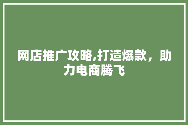 网店推广攻略,打造爆款，助力电商腾飞