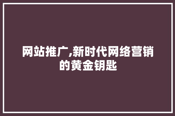 网站推广,新时代网络营销的黄金钥匙