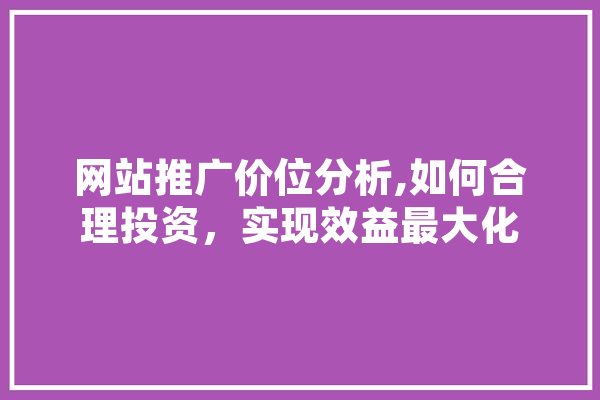 网站推广价位分析,如何合理投资，实现效益最大化