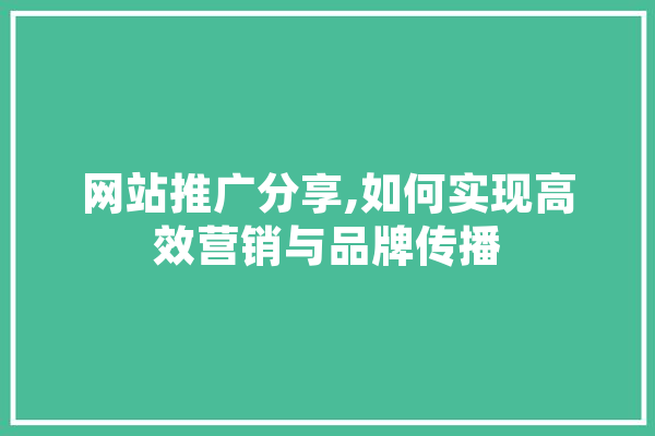 网站推广分享,如何实现高效营销与品牌传播