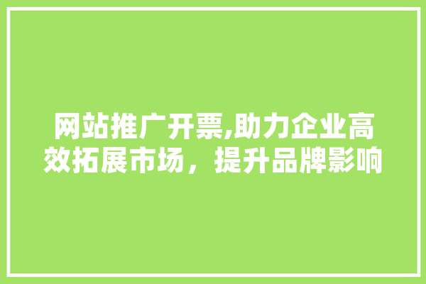 网站推广开票,助力企业高效拓展市场，提升品牌影响力