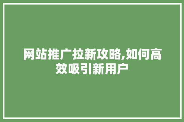 网站推广拉新攻略,如何高效吸引新用户