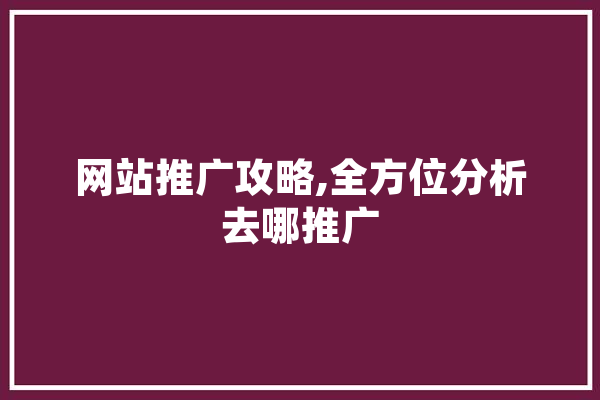 网站推广攻略,全方位分析去哪推广