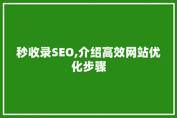 秒收录SEO,介绍高效网站优化步骤