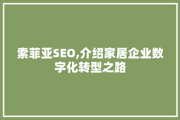索菲亚SEO,介绍家居企业数字化转型之路